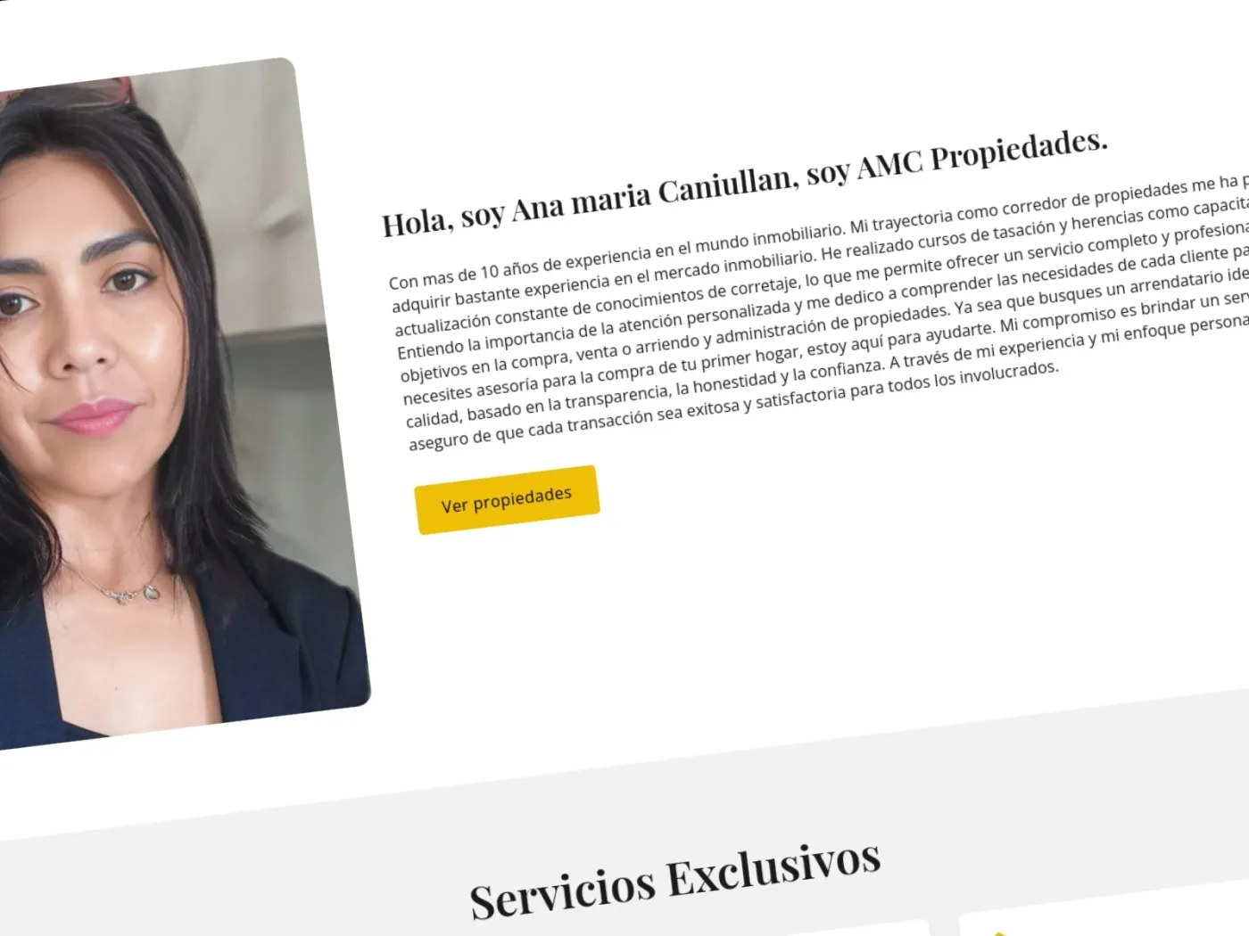 Sección 1 del sitio AMC Propiedades