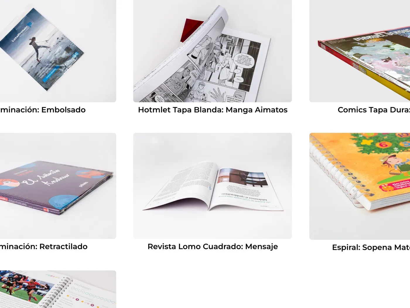 Sección 3 del sitio Gráfica Andes
