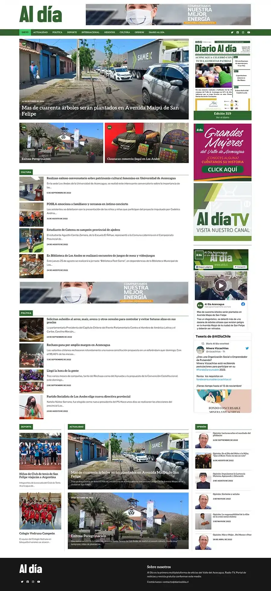 Captura del sitio Diario Al Día