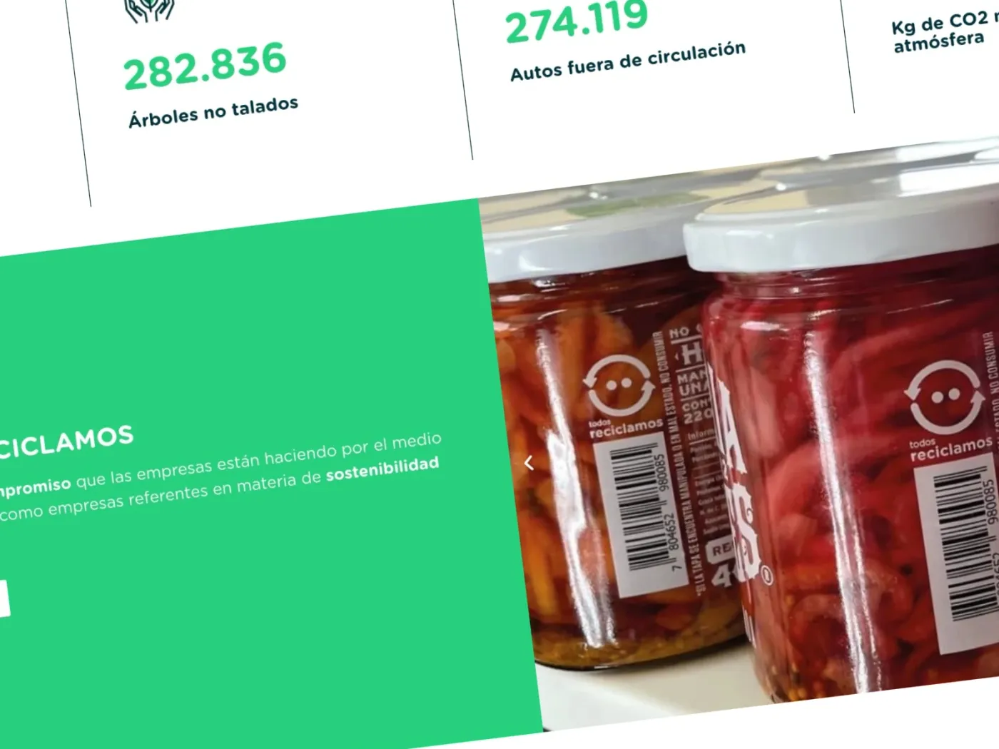 Sección 5 del sitio Todos Reciclamos
